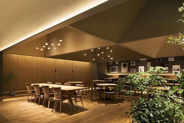 餐飲設計:塑造獨特空間,吸引食客目光